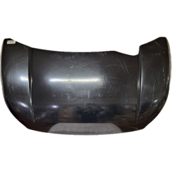 MOTORHAUBE VORNE JS56