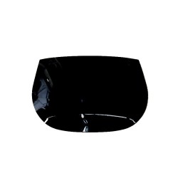 HECKSCHEIBE GETÖNT MIT...