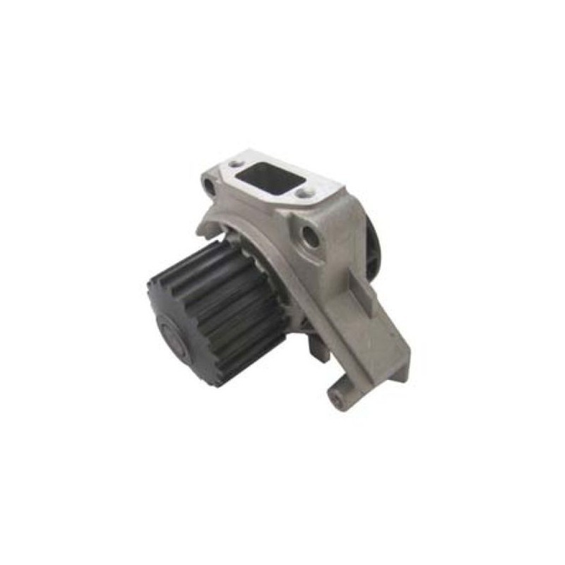 WASSERPUMPE FOCS-PROGRESS