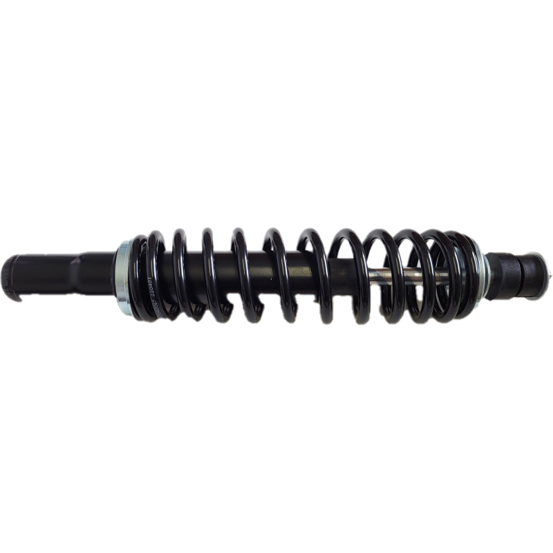 VORDERER STOßDÄMPFER ASSO