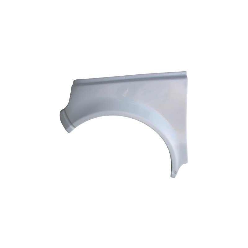 VORDERER KOTFLÜGEL LINKS TASSO