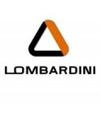 Motorersatzteile Lombardini